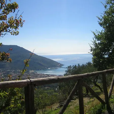 Cilento *